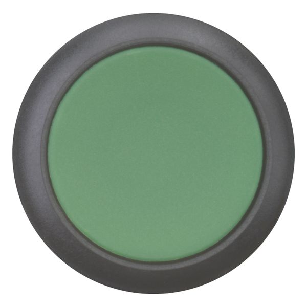 Pushbutton, RMQ-Titan, Flat, momentary, green, Blank, Bezel: black image 6