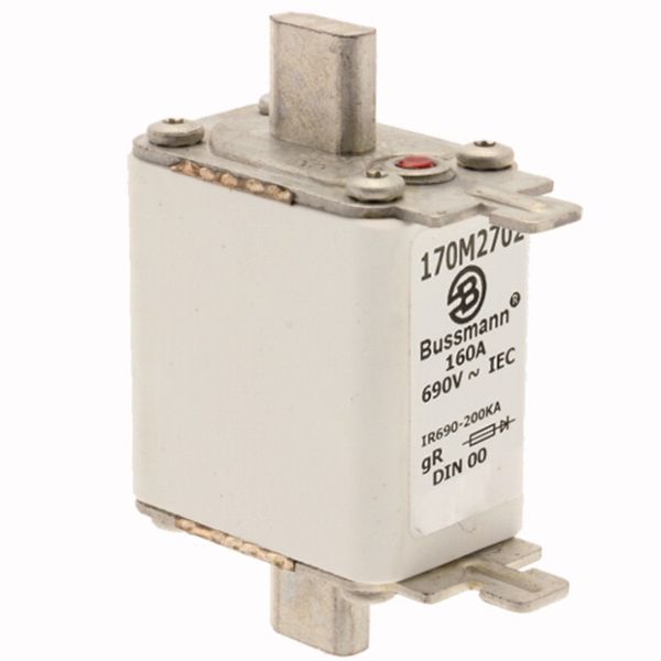 Fuse-link, high speed, 160 A, AC 690 V, DIN 00, 30 x 60 x 79 mm, gR, DIN, IEC, single indicator image 3