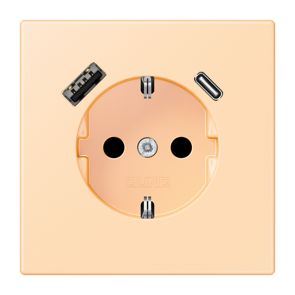 SCHUKO socket with USB charger LC32060 LC1520-15CA223 image 1