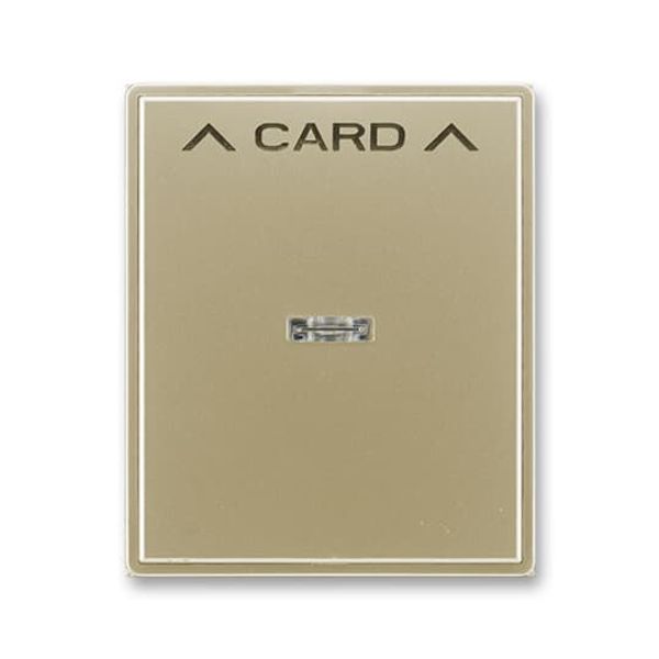 3559E-A00700 33 Card switch cover plate image 1