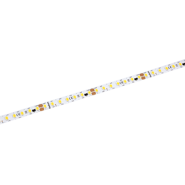 LED Star Strip 1700, LED STRIP 1700 S 830/24V 50M image 1