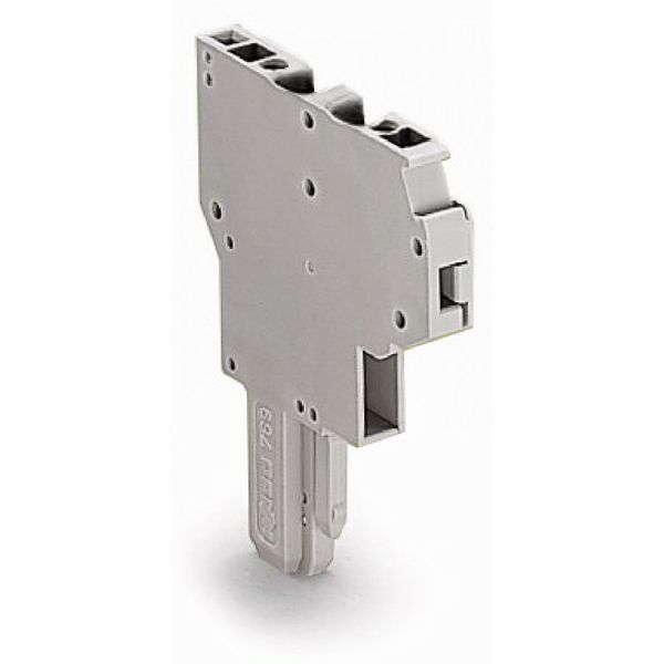 2-conductor female connector CAGE CLAMP® 4 mm² gray image 1