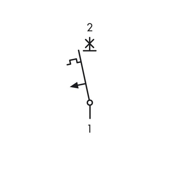 MCB, C, 25A, 1-pole, with special terminal,swiss standard image 3