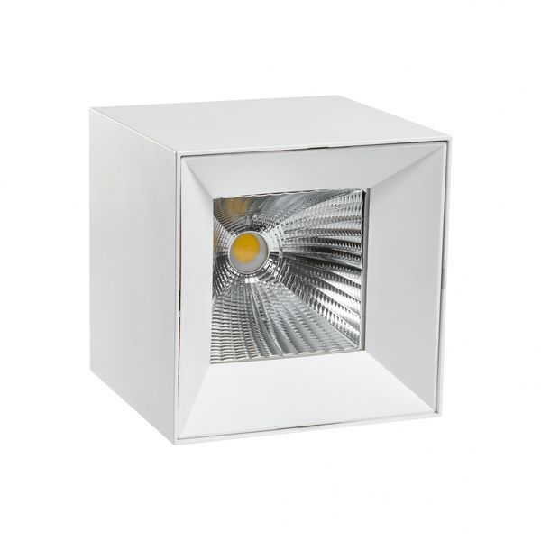 CEL ZOSMA 4 SQUARE 830 27W 230V 40DEG WHITE DALI image 1