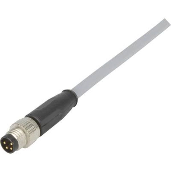 M8 Cable Assembly 4-poles st/- m/- 0,5m image 1