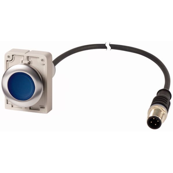 Illuminated pushbutton actuator, Flat, maintained, 1 N/O, Cable (black) with M12A plug, 4 pole, 1 m, LED Blue, Blue, Blank, 24 V AC/DC, Metal bezel image 1