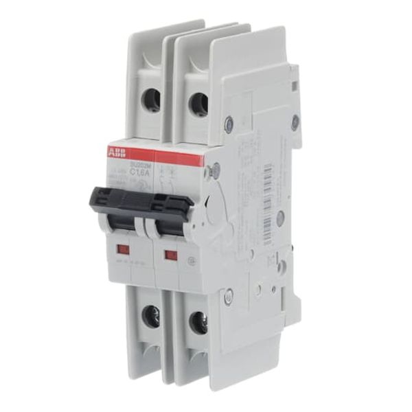 SU202M-C0.5 Miniature Circuit Breaker - 2P - C - 0.5 A image 6