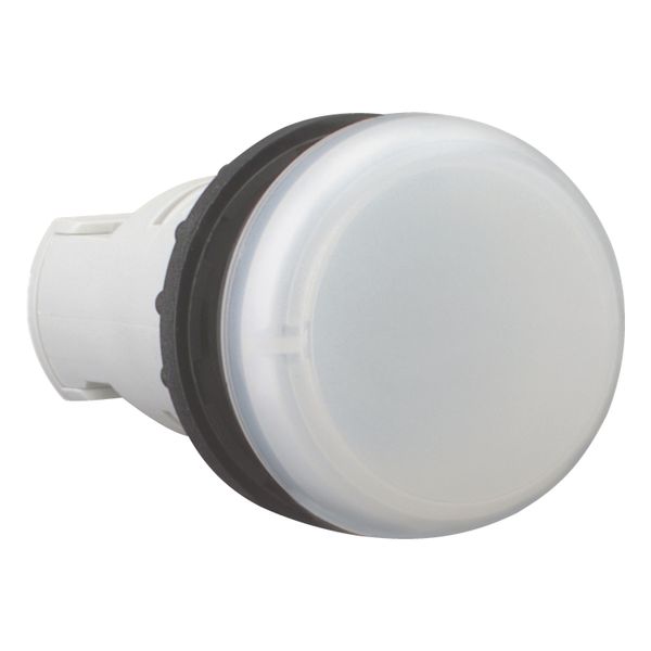 Indicator light, RMQ-Titan, Flush, without light elements, For filament bulbs, neon bulbs and LEDs up to 2.4 W, with BA 9s lamp socket, white image 12