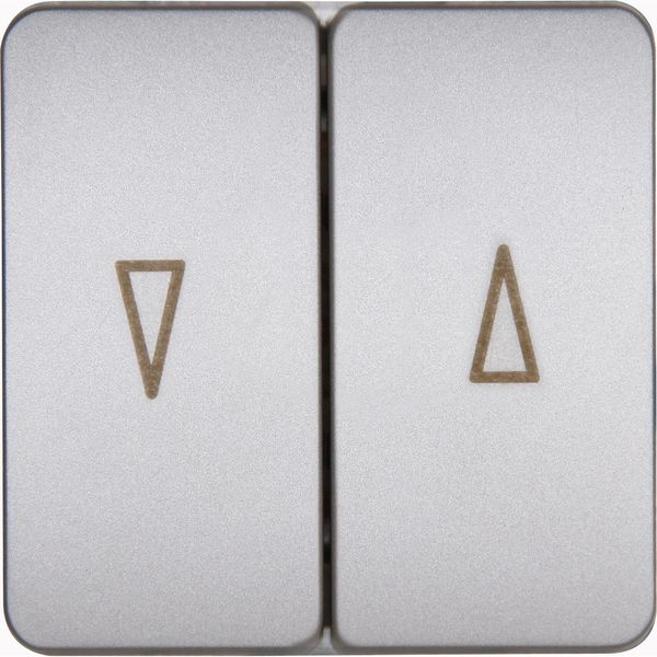 HK02 - double rocker pad with arrows - c image 1