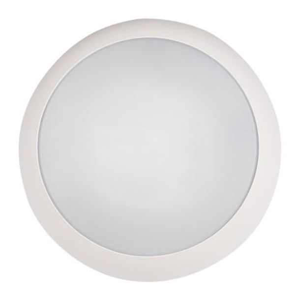 Ceiling Light 15W 2050lm CCT IP66  Ø306 image 1