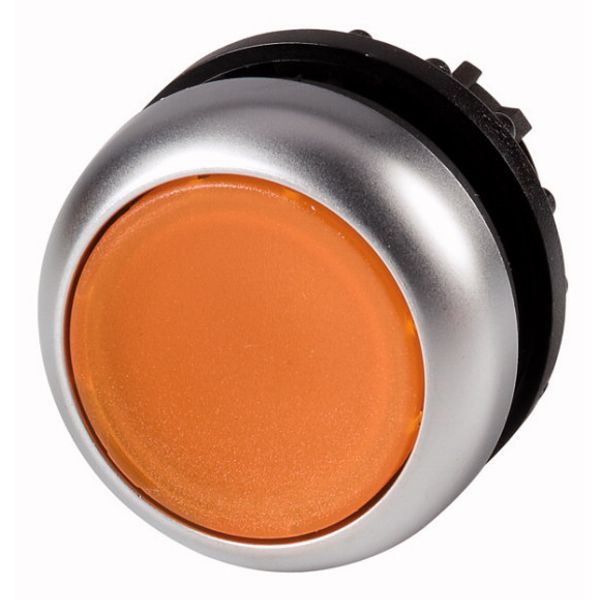 Illuminated pushbutton actuator, RMQ-Titan, Flush, maintained, orange, Blank, Bezel: titanium image 1