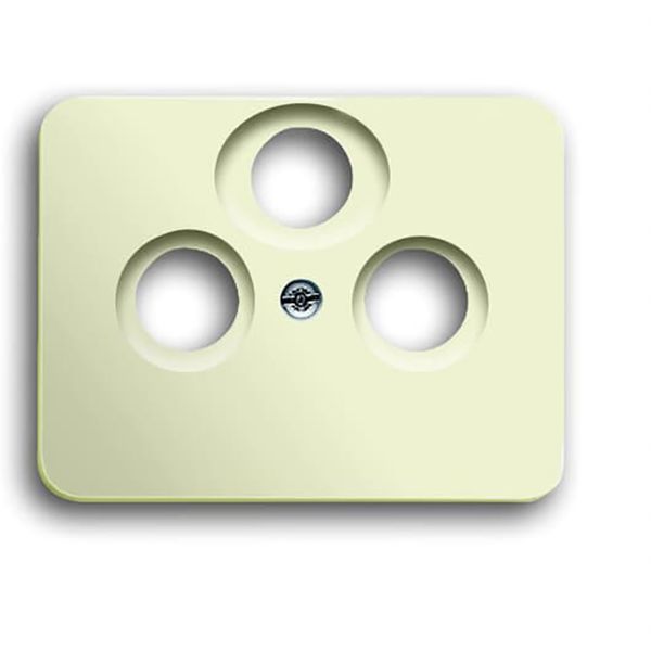 1743-03-22G CoverPlates (partly incl. Insert) carat® ivory image 1
