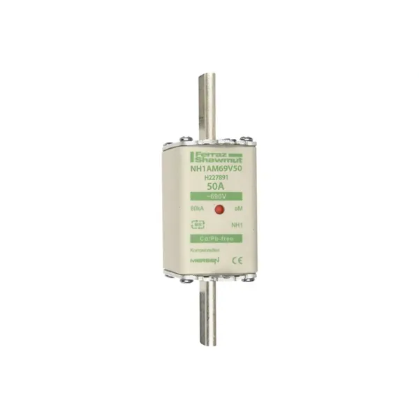 Fuse-link NH1 aM 690VAC 50A live tags Double indicator image 2