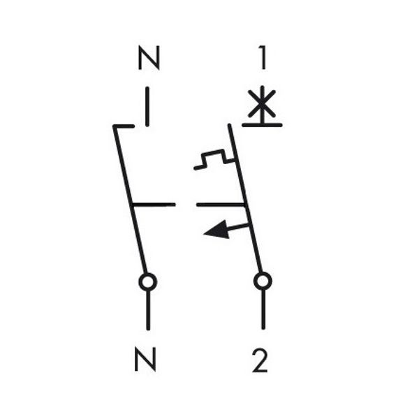 Miniature Circuit Breaker (MCB) AMPARO 6kA, B 32A, 1+N image 5