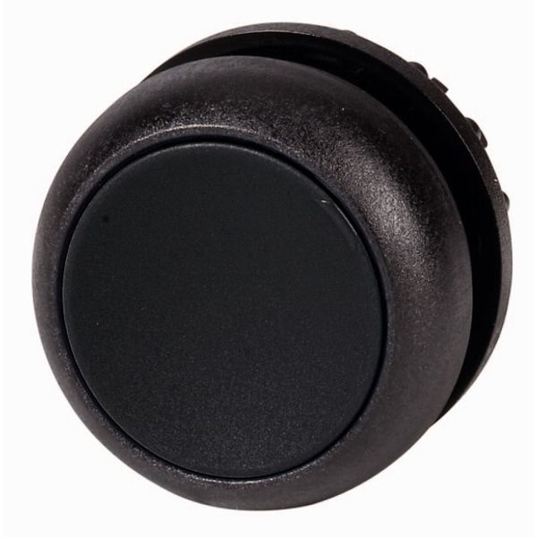 Pushbutton, RMQ-Titan, Flat, momentary, black, Blank, Bezel: black image 1