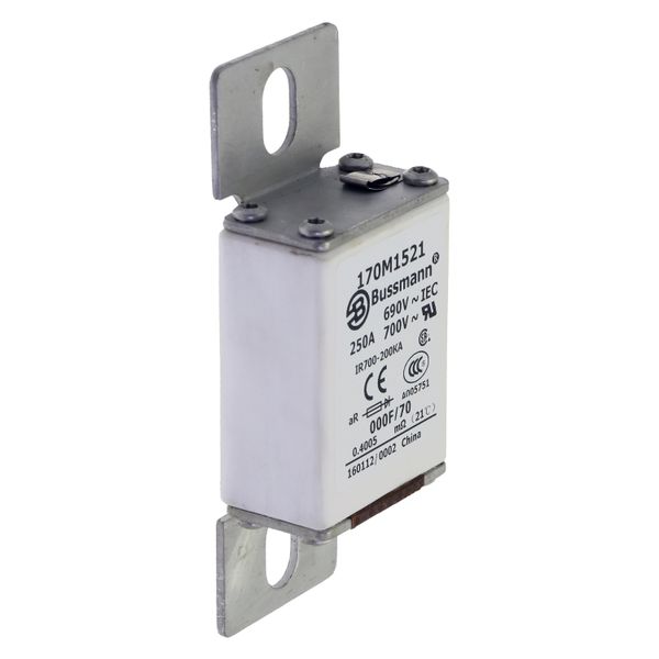 Fuse-link, high speed, 250 A, AC 690 V, size 000, 24 x 36 x 96 mm, aR, IEC, visual indicator image 11