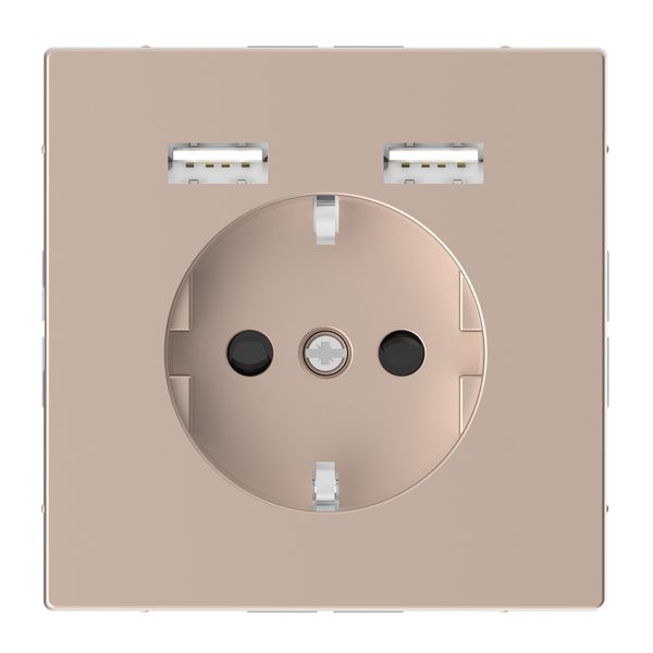 Merten - USB charger + schuko socket-outlet - 2.4A 16A - champagne image 1