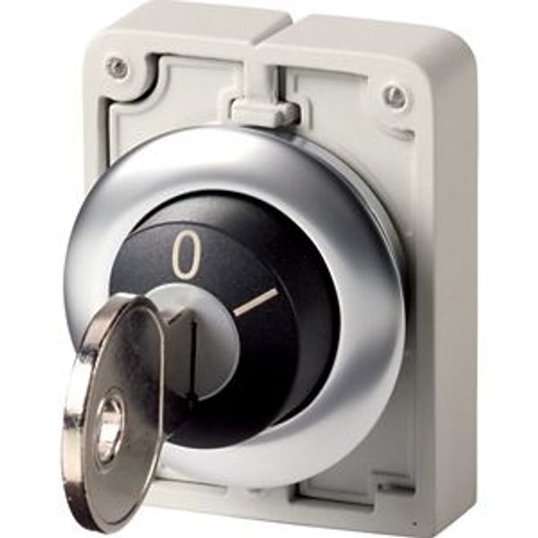 Key-operated actuator, Flat Front, maintained, 2 positions, MS10, Key withdrawable: 0, Bezel: stainless steel image 1