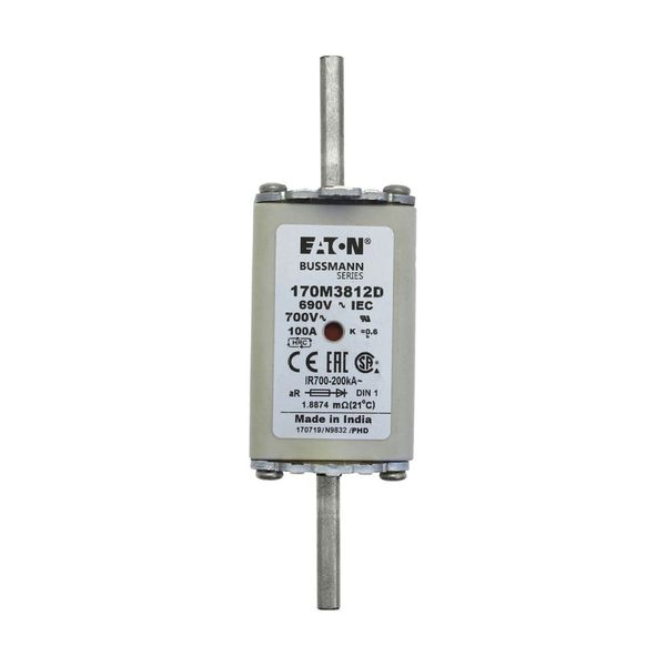 Fuse-link, high speed, 100 A, AC 690 V, DIN 1, aR, DIN, IEC, dual indicator, live gripping lugs image 13