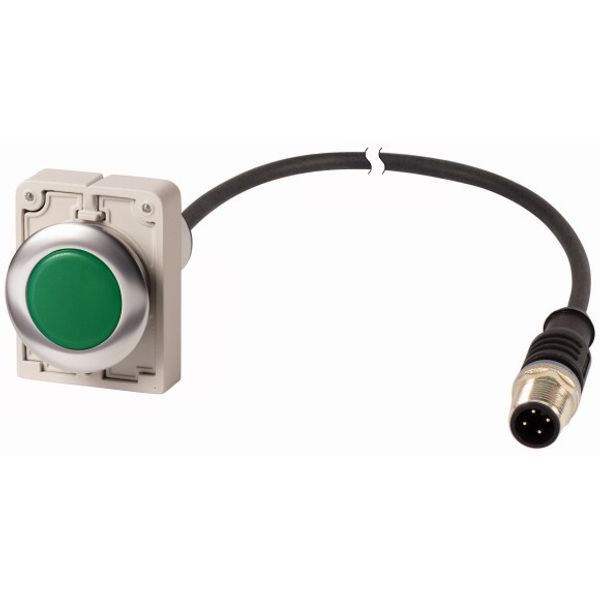 Indicator light, Flat, Cable (black) with M12A plug, 4 pole, 1 m, Lens green, LED green, 24 V AC/DC image 1