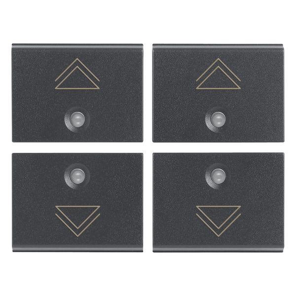 Four half-buttons 1M regul.symbol grey image 1