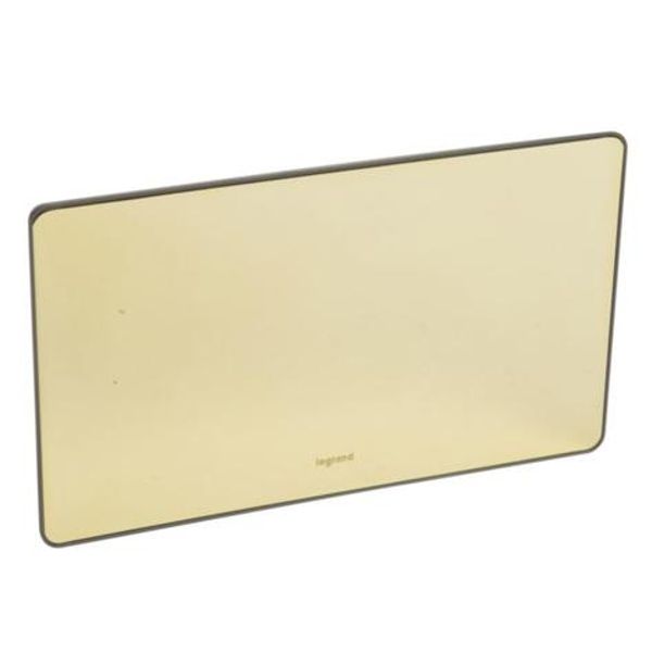 Synergy Sleek 2 gang blanking plate Glossy gold image 1