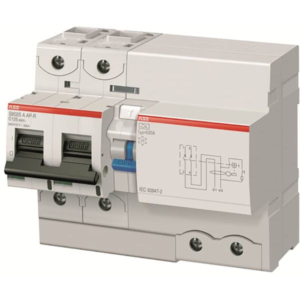 DS802S-C125/0.03AP-R Residual Current Circuit Breaker with Overcurrent Protection image 2