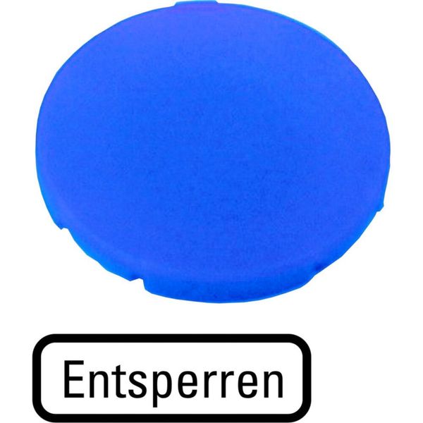 Button plate, flat blue, RELEASE image 6