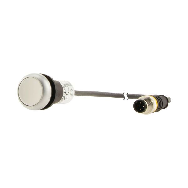 Pushbutton, flat, maintained, white, 1 N/O, with cable 1m and M12A plug image 15