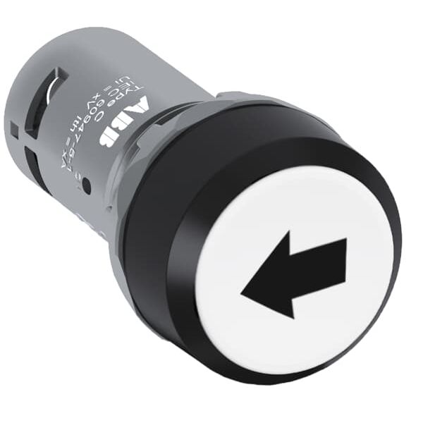CP9-1005 Pushbutton image 22