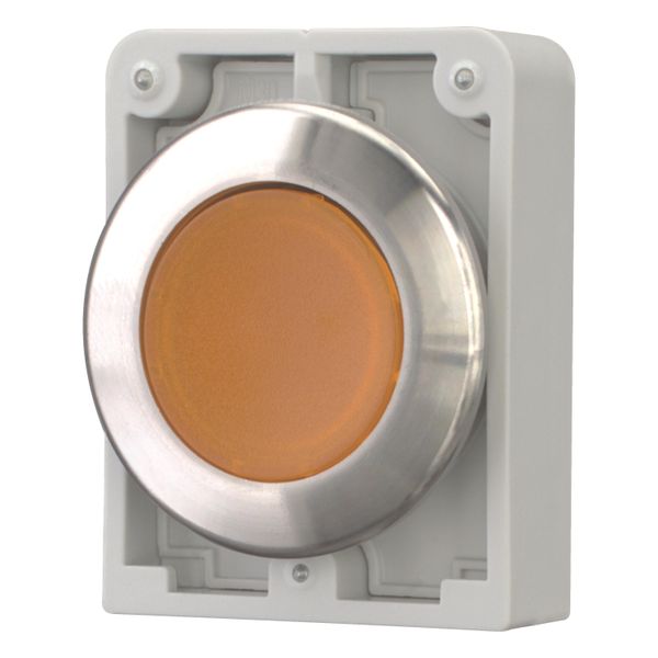 Illuminated pushbutton actuator, RMQ-Titan, flat, momentary, orange, blank, Front ring stainless steel image 3