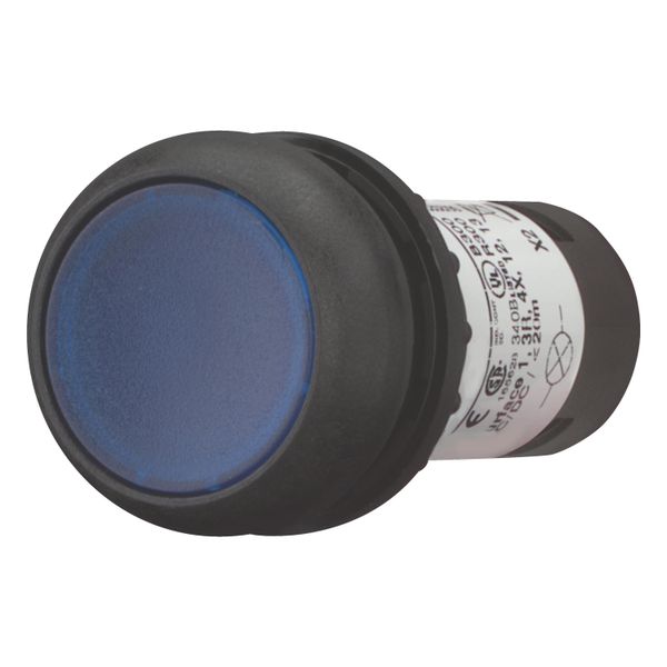 Illuminated pushbutton actuator, Flat, maintained, 1 N/O, Screw connection, LED Blue, Blue, Blank, 120 V AC, Bezel: black image 8