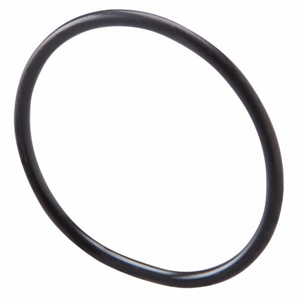 O-RING GASKET - FOR CLOSURE CAPS - M32 PITCH image 2