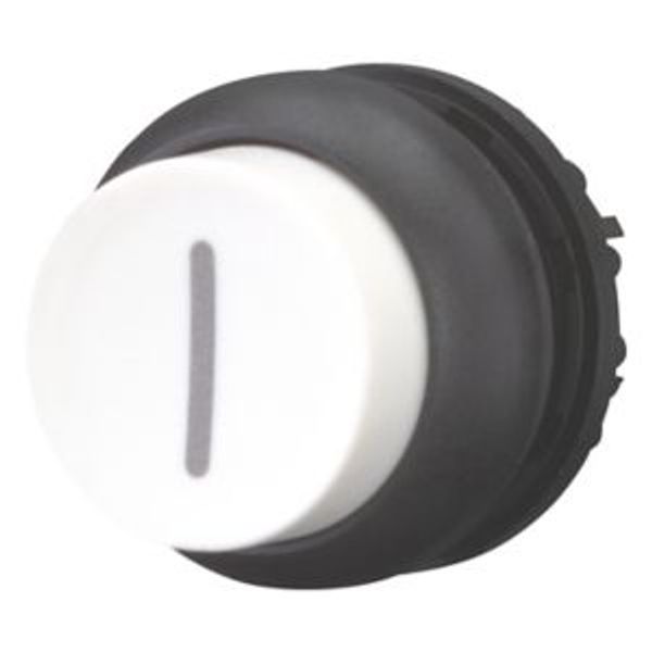 Pushbutton, RMQ-Titan, Extended, momentary, White, inscribed, Bezel: black image 2