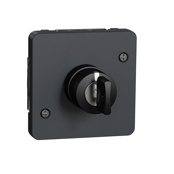 ***MUREVA KEY SWITCH W 3 ITIONS MULTI GR image 1