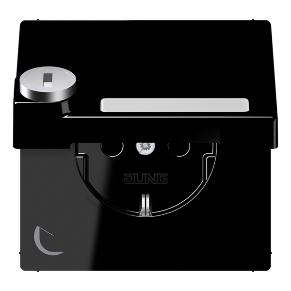Schuko socket with hinged lid LS1520NAKLSLSW image 1