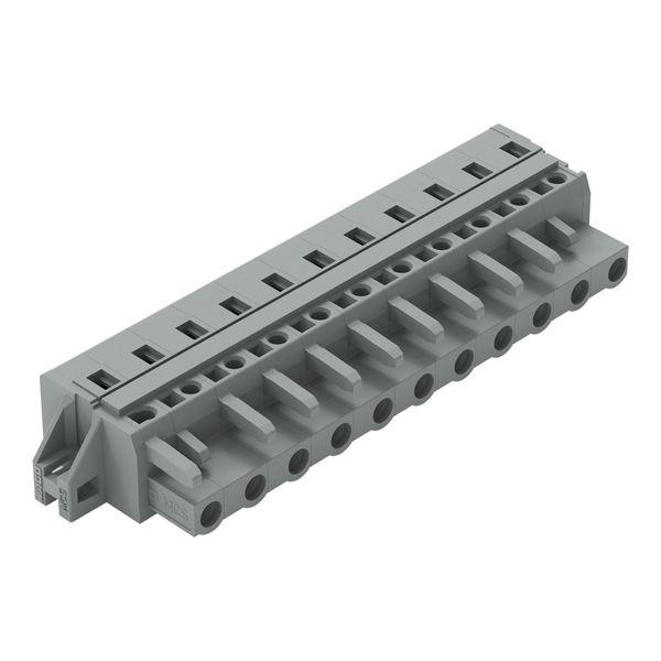 1-conductor female connector CAGE CLAMP® 2.5 mm² gray image 1