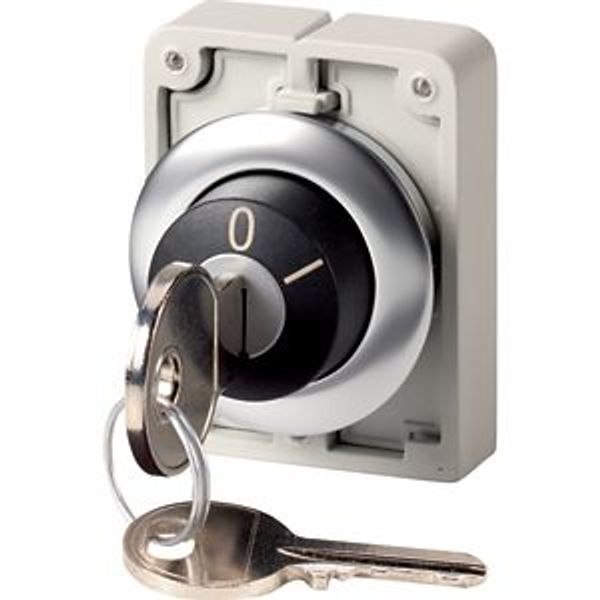 Key-operated actuator, Flat Front, maintained, 2 positions, Ronis 455, Key withdrawable: 0, Bezel: stainless steel image 2