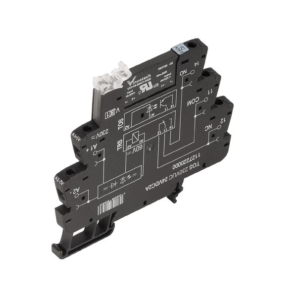 Solid-state relay, 24 V UC ±10 %, Rectifier 3... 48 V DC, 100 mA, Scre image 1