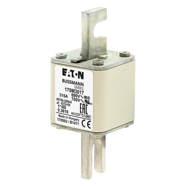 Fuse-link, high speed, 315 A, AC 690 V, compact DIN 1, 45 x 45 x 104 mm, aR, DIN, IEC, single indicator image 2