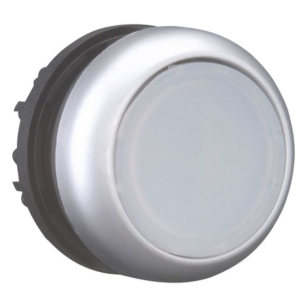 Illuminated pushbutton actuator, RMQ-Titan, Flush, momentary, White, Blank, Bezel: titanium image 7