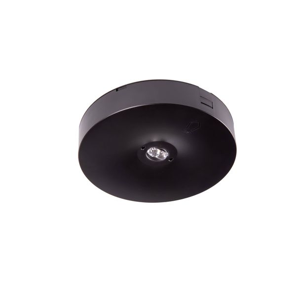 Starlet Round LED SC 250 SA 3H MT [BLK] image 1