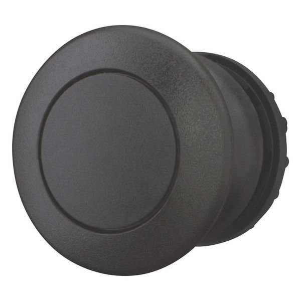 Mushroom actuator, RMQ-Titan, Mushroom, momentary, Mushroom black, black, Blank, Bezel: black image 4