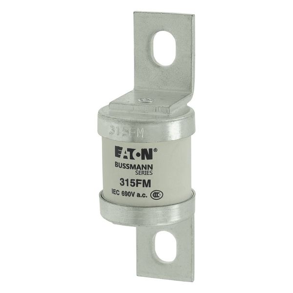 5.5KV 125E BHLE FUSE image 7