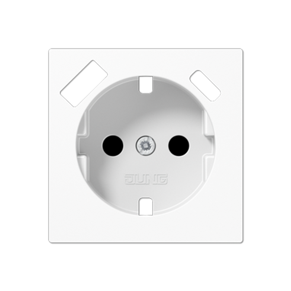 Centre plate SCHUKO® sockets A1520-15CAPLWW image 1