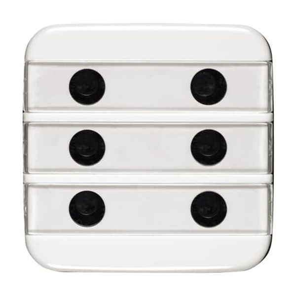 1575 CN-84 CoverPlates (partly incl. Insert) future®, Busch-axcent®, solo®; carat® Studio white image 4
