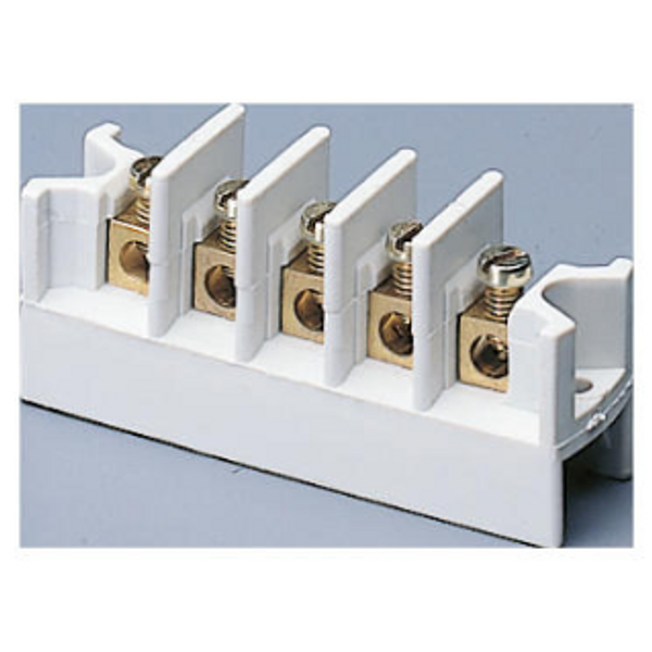 MULTI-POLE TERMINAL BLOCK - PRESS-ON - CONNECTING CAPACITY 3X4 MM² image 1