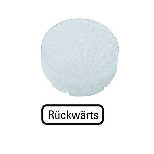 Button lens, raised white, RÜCKWÄRTS image 3