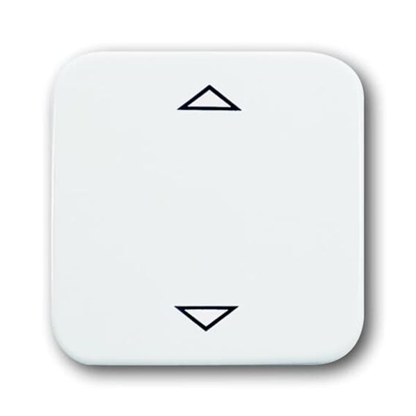 6430-214-102-500 CoverPlates (partly incl. Insert) carat® Alpine white image 1