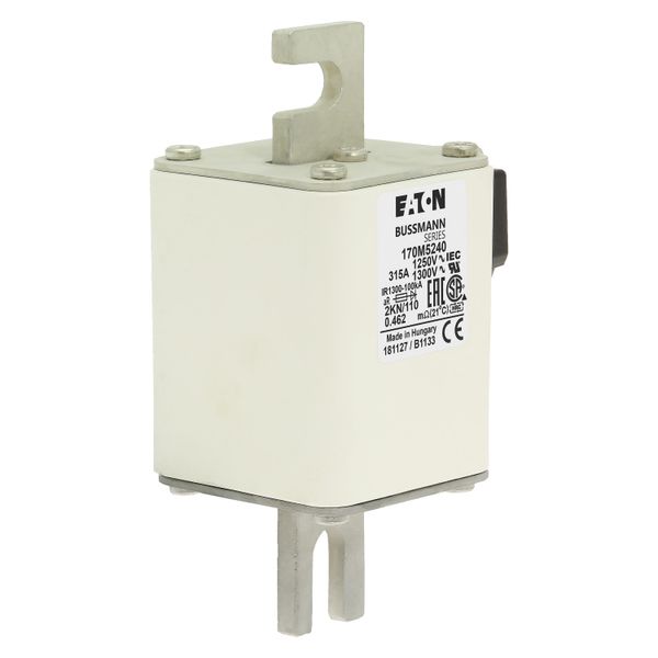 Fuse-link, high speed, 315 A, AC 1250 V, size 2, 61 x 77 x 138 mm, aR, DIN, IEC, single indicator image 9